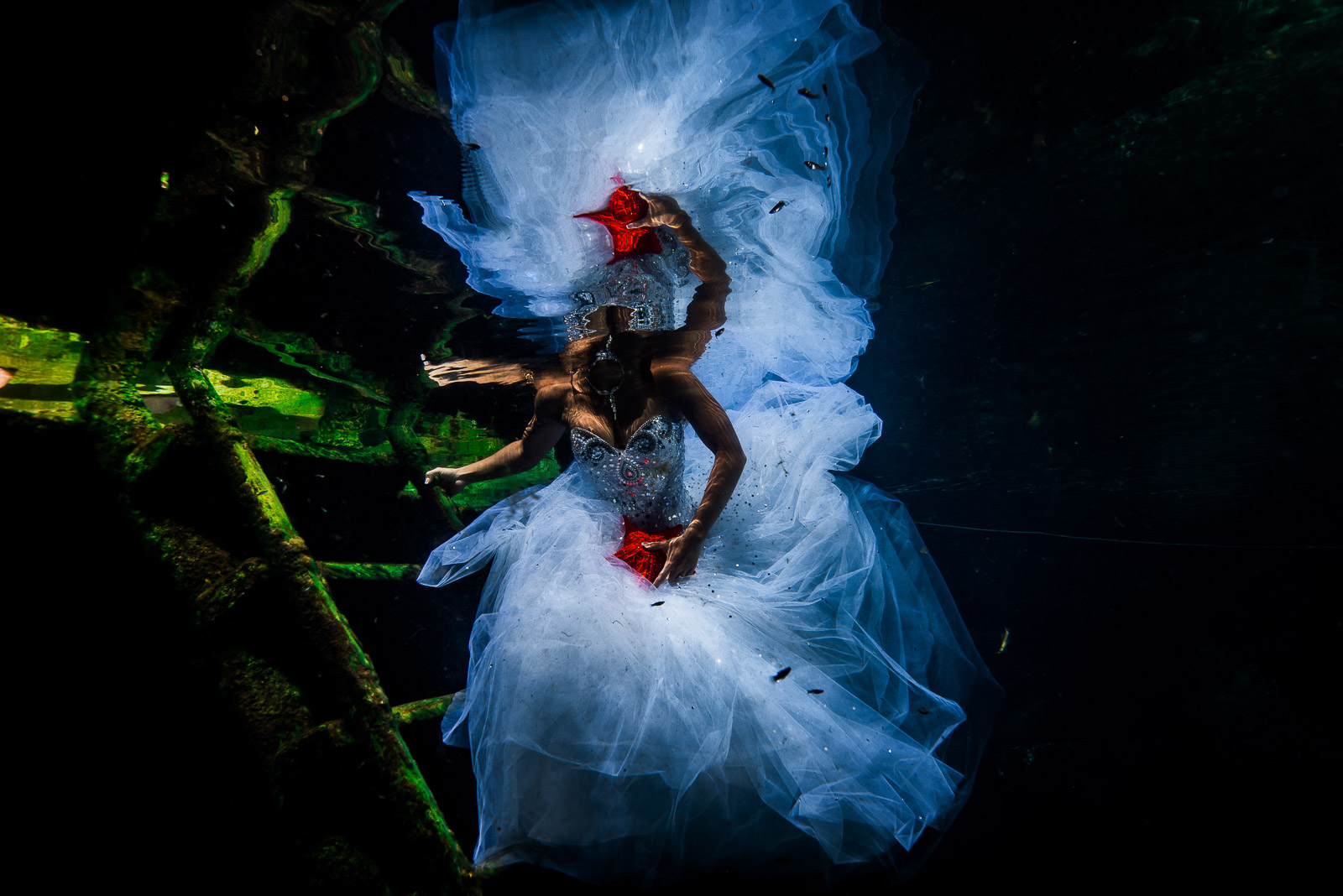 Post wedding underwater photography trash the dress